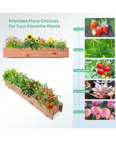 Wooden Decorative Planter Box for Garden Yard and Window