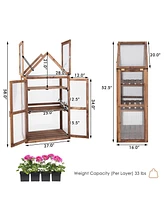 Cold Frame Mini Wooden Greenhouse for Vegetable and Flower