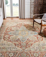 Safavieh Izmir IZM103 8' x 10' Area Rug