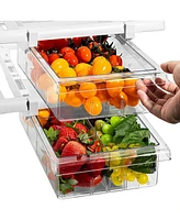 Sorbus Pull Out Fridge Drawer - Attachable Deli Drawer 2 Pack