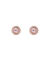 Ted Baker Jewelry Soletia: Solitaire Sparkle Crystal Stud Earrings