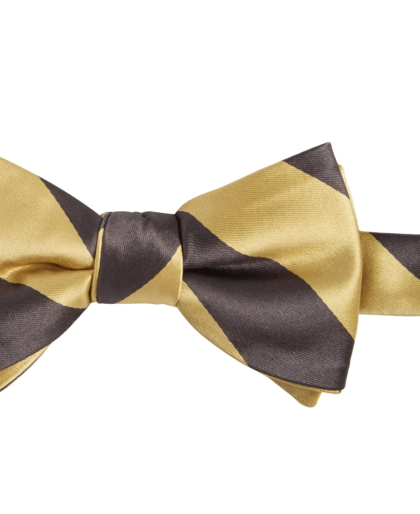 Tayion Collection Men's Stripe Bow Tie