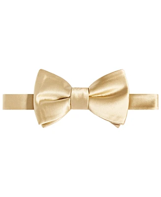 Tayion Collection Men's Purple & Gold Solid Bow Tie