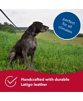 Coastal Pet Circle T by Latigo Leather Twist Dog Leash with Brass Hardware (6') & Latigo Leather Round Dog Collar (3/8" x 14")