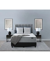 Aireloom Hybrid 13 Plush Mattress Collection