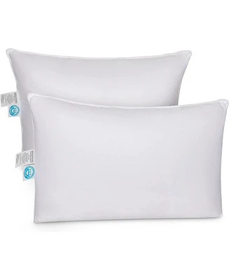 East Coast Bedding 50% Down, 50% Feather Bed Pillow Standard