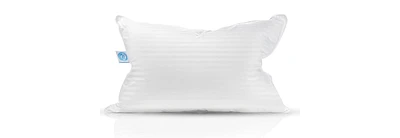 East Coast Bedding 50% Down, 50% Feather Bed Pillow Standard, Pack of 1