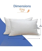 Continental Bedding King Size Set of 2 10% White down 90% Feather Pillow