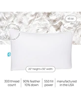 East Coast Bedding 10% Down, 90% Feather Bed Pillow Queen