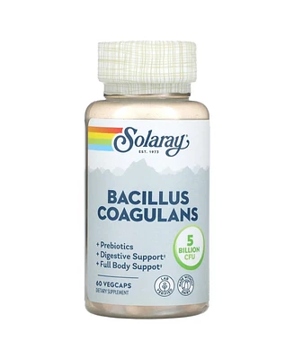 Solaray Bacillus Coagulans 5 Billion - 60 VegCaps (2.5 Billion per Capsule)