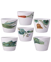 Noritake Kyoka Shunsai Japanese Cups 7 oz, Set/6