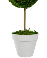 Northlight 16" Reindeer Moss Ball Potted Artificial Spring Topiary Tree