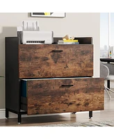 Tribesigns Lateral File Cabinets, 2 Drawer Filing Cabinets for Hanging Files Letter/Legal/F4/A4 Size(Rustic Brown)