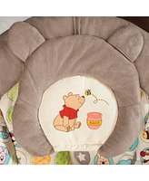 Winnie The Pooh Dots Hunny Pots Bouncer