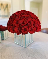 Rose Box Nyc Half Ball of Red Flame Long Lasting Preserved Real Roses in Modern Premium Vase, 55 Roses