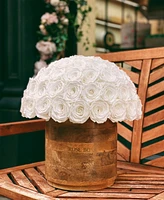 Rose Box Nyc Half Ball of Pure White Long Lasting Preserved Real Roses Xl Rustic Vase, 80 Roses