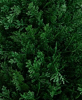 Nearly Natural 3ft. Uv Resistant Artificial Cedar Plant with Integrated Ground Stake Indoor/Outdoor - Set of 2