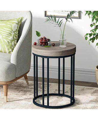 Tribesigns Round End Table, Modern Side Small Accent Nightstand with Metal Frame for Living Room Sofa Couch, Bedroom, Easy Assembly, Space Saving