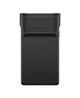 Sony Nw-WM1AM2 128GB Walkman Digital Music Player