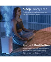 Miko Ultrasonic Humidifier with Cool and Warm Mist