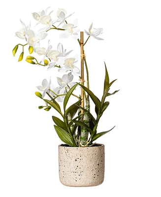 Vickerman 19" Artificial White Deluxe Potted Cycnoches Orchid.