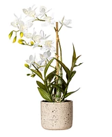 Vickerman 19" Artificial White Deluxe Potted Cycnoches Orchid.