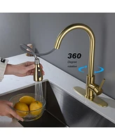 Streamdale Furniture Kitchen Faucet With Pull Out Sprayer