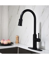 Streamdale Furniture Kitchen Faucet With Pull Out Sprayer