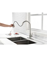 Single Handle High Arc Brushed Nickel Pull Out Kitchen Faucet, Single Level Stainless Steel