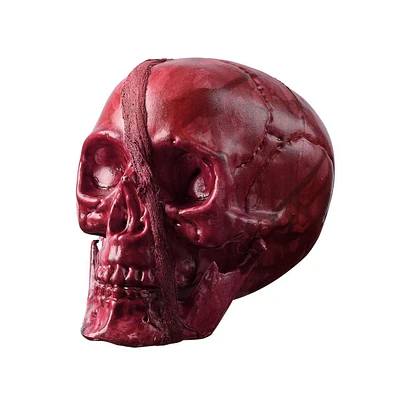 Yescom Halloween Skeleton Head Human Skull Plastic Prop Haunted House Party Ornament Horror Decor