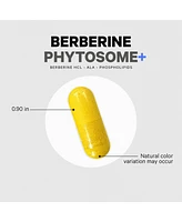 Codeage Berberine Phytosome Supplement - Berberine Hcl, Alpha Lipoic Acid, Phospholipid Complex - 2-Month Supply