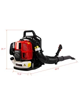 Streamdale Furniture 52Cc 2-Cycle Gas Backpack Leaf Blower With Extension Tube