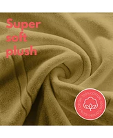 Soft & Absorbent Luxury Cotton Bath Mat 24" x 17" - 2 Pack