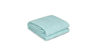 Slickblue 48 x 72 Inch Premium Cooling Heavy Weighted Blanket-Light Green