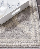 Safavieh Amherst AMT415 Light Gray and 4' x 6' Area Rug