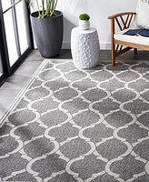 Safavieh Amherst AMT415 Dark Gray and Beige 3' x 5' Area Rug