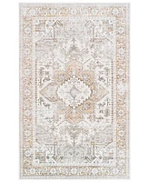 Safavieh Arizona Washable 116 ARZ116 10'x14' Area Rug