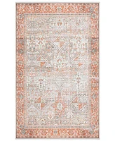 Safavieh Arizona Washable 199 ARZ199 8'x10' Area Rug