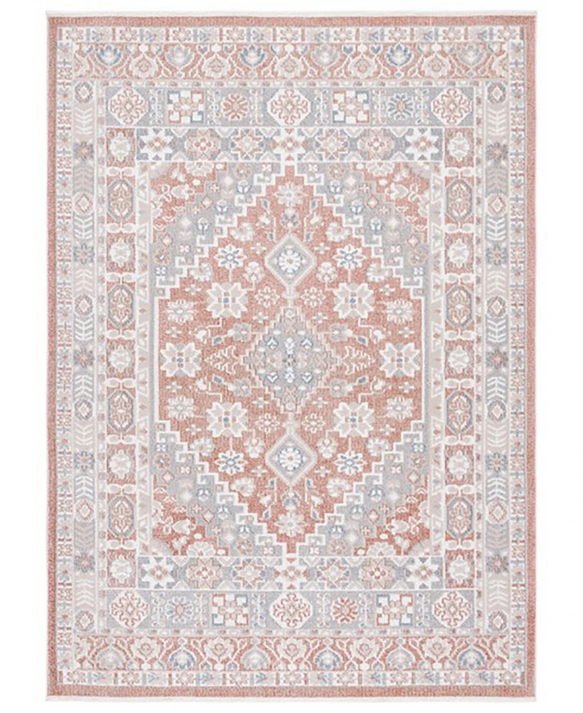 Safavieh Blair Washable 206 BLR206 8'x10' Area Rug