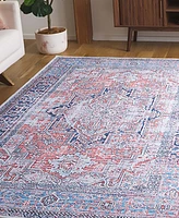 Safavieh Arizona Washable 223 ARZ223 9'x12' Area Rug