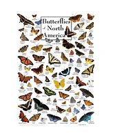 Masterpieces Butterflies of North America 1000 Piece Jigsaw Puzzle