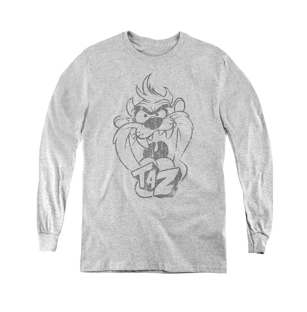 Looney Tunes Boys Youth Faded Taz Long Sleeve Sweatshirts