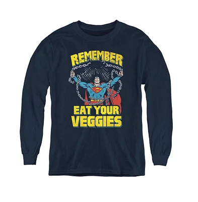 Superman Boys Youth Veggie Power Long Sleeve Sweatshirts
