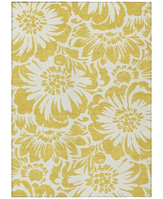 Addison Chantille Machine Washable ACN551 2'6x3'10 Area Rug