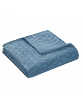 Kate Aurora Pastel Chic Embossed Leaves Ultra Plush Accent Throw Blanket - 50 in. W x 60 L Gray