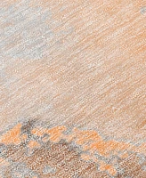 Addison Chantille Machine Washable ACN506 2'6x3'10 Area Rug