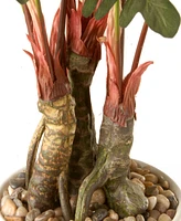 National Tree Company 21 Garden Accents Philodendron Flower