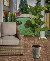 National Tree Company 43 Fiddle Leaf Fig Tree