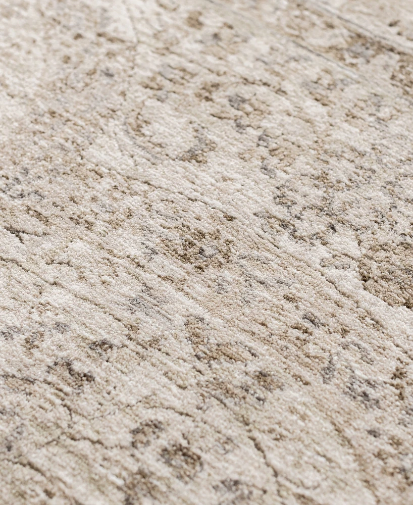 Dalyn Cyprus CY8 2'3x7'10 Runner Area Rug
