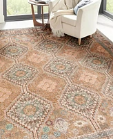 Dalyn Kars KA10 8'x10' Area Rug